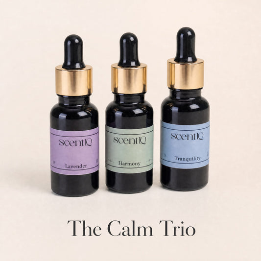 The Calm Trio