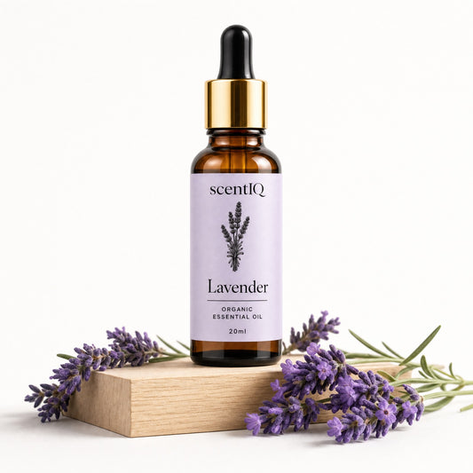 A 20ml amber glass dropper bottle of scentIQ Lavender Organic Essential Oil, styled on a light wooden block with fresh lavender sprigs against a clean white background.