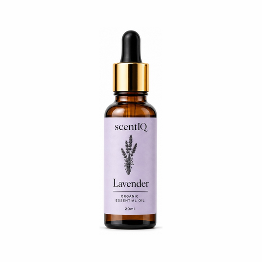 A 20ml amber glass dropper bottle of scentiQ Lavender Organic Essential Oil, featuring a lavender-colored label and a gold collar with a black dropper cap, set against a plain white background.